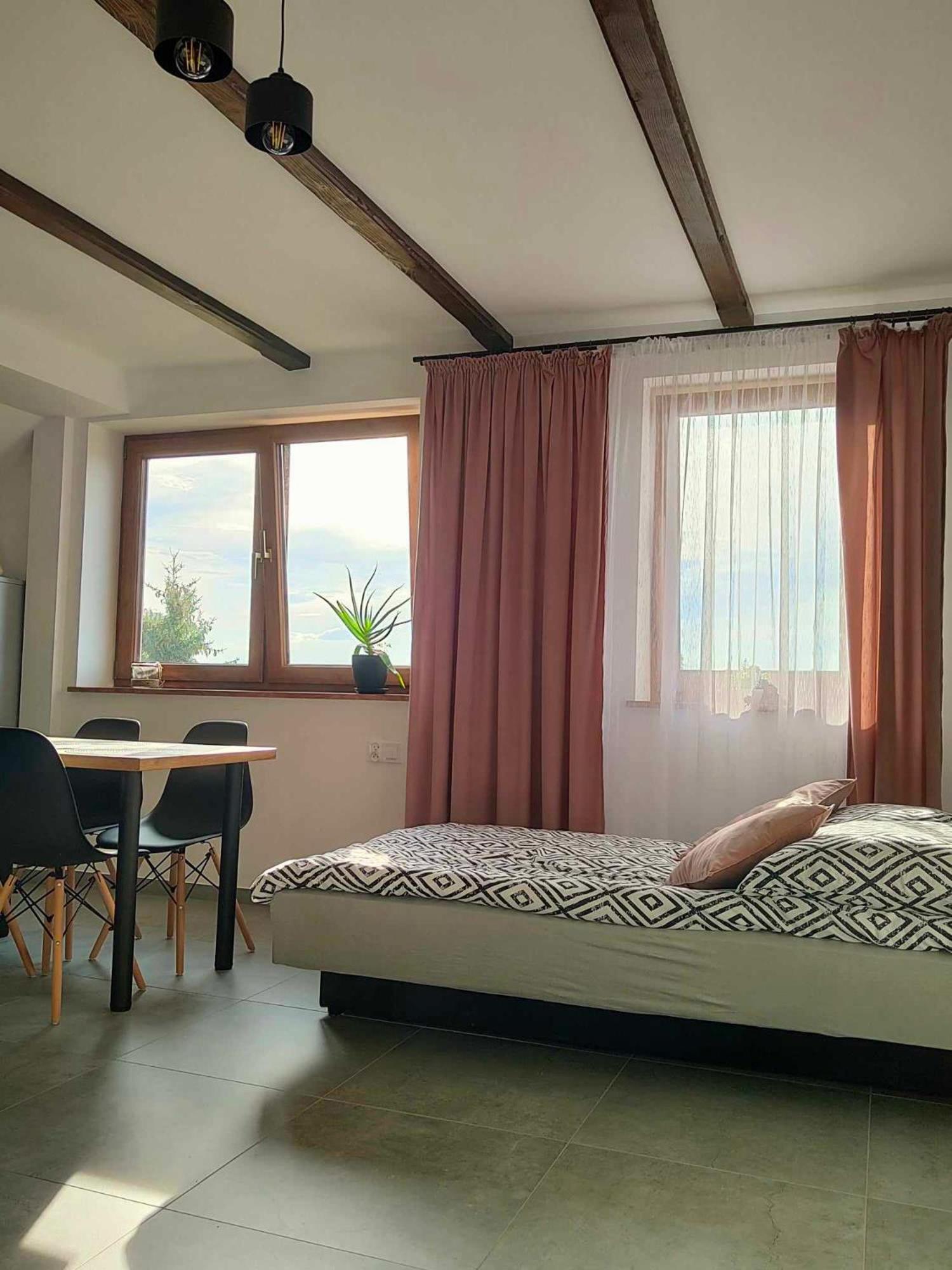 Apartamenty U Anety Wilkasy Exterior foto